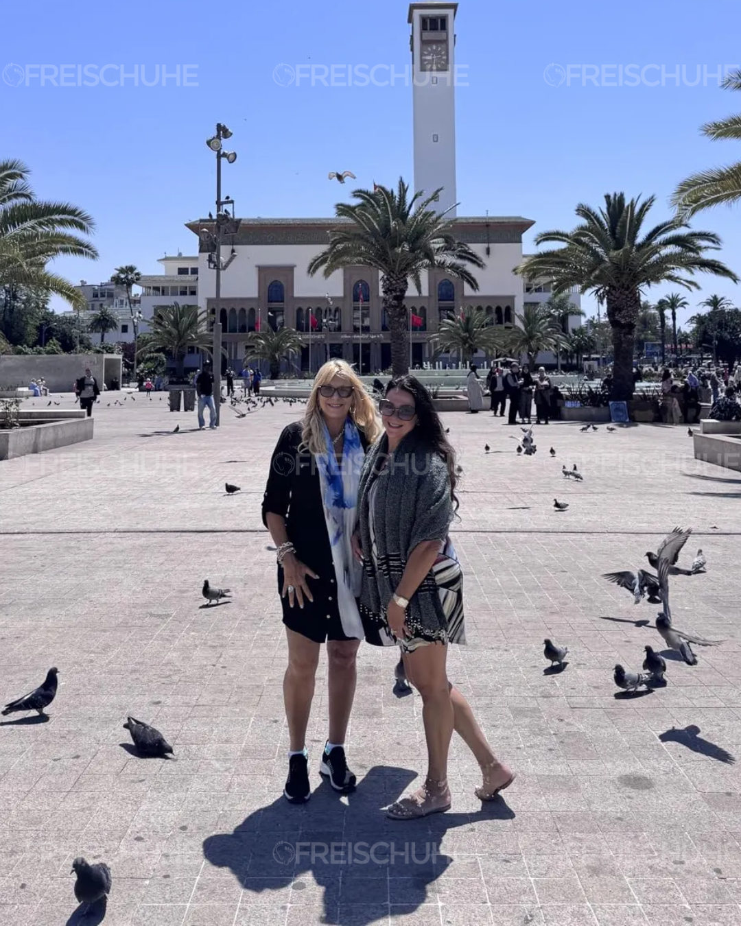 Avaliação OrthoFlex